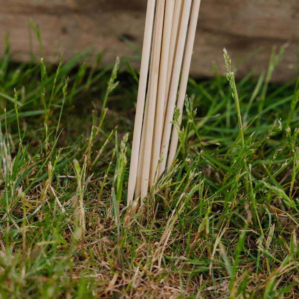 Bloemenstokken. H40 cm 10 st./bundel.