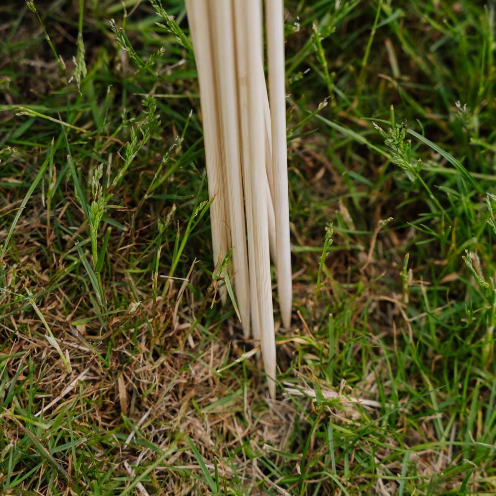 Bloemenstokken. H50 cm 10 st./bundel.