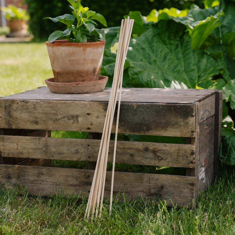 Bloemenstokken. H70 cm 10 st./bundel.