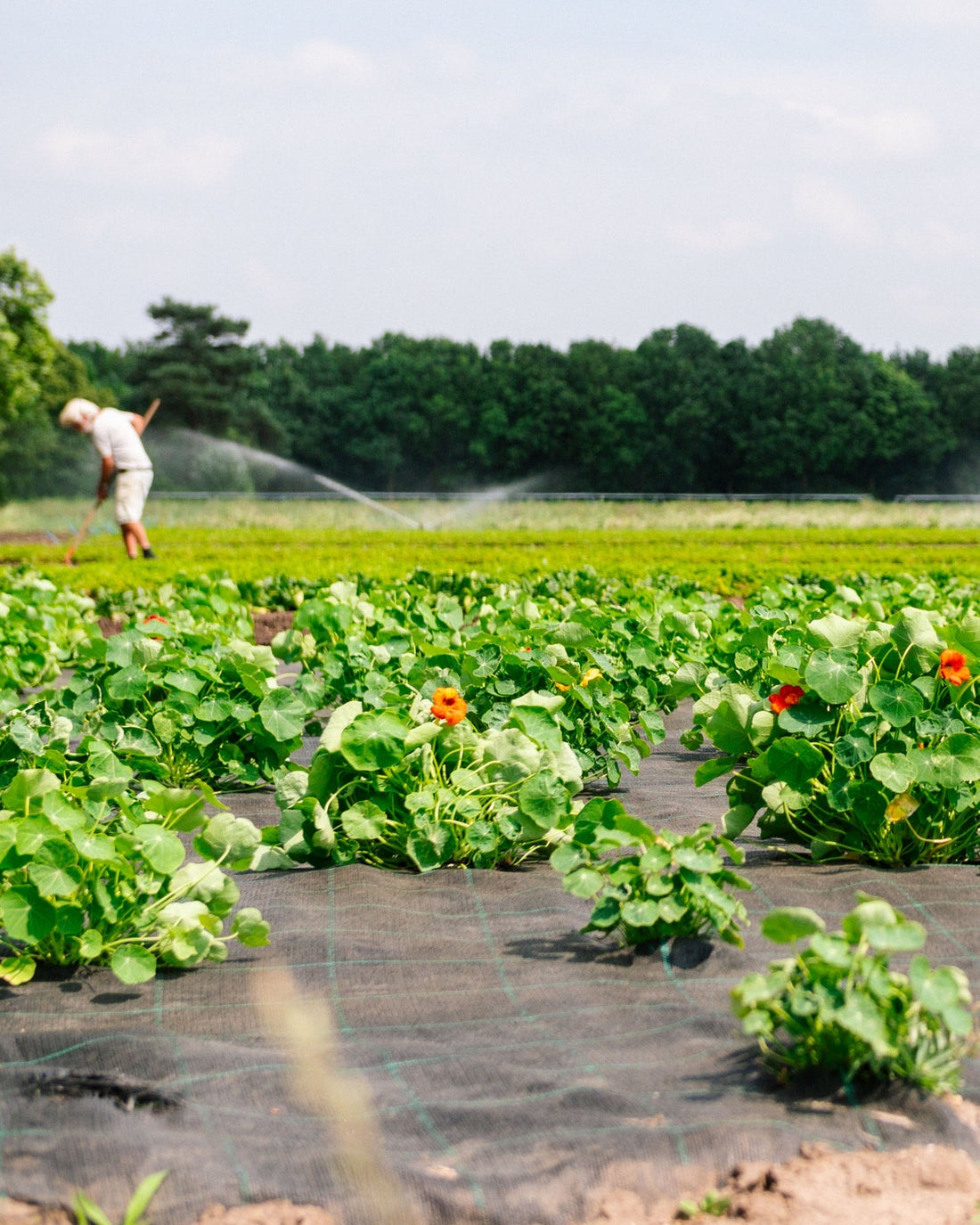 slider image slider_item_yCQgDW