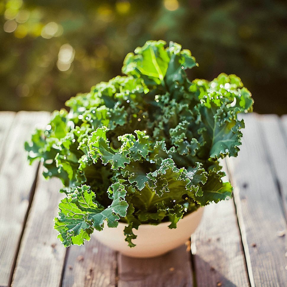 Boerenkoolzaden 'Westland Winter' - 75 biologische zaden
