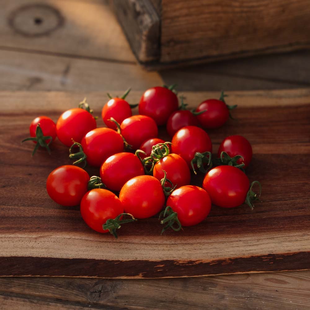 Cherrytomaat zaden 'Bartelly F1' - 5 biologische zaden