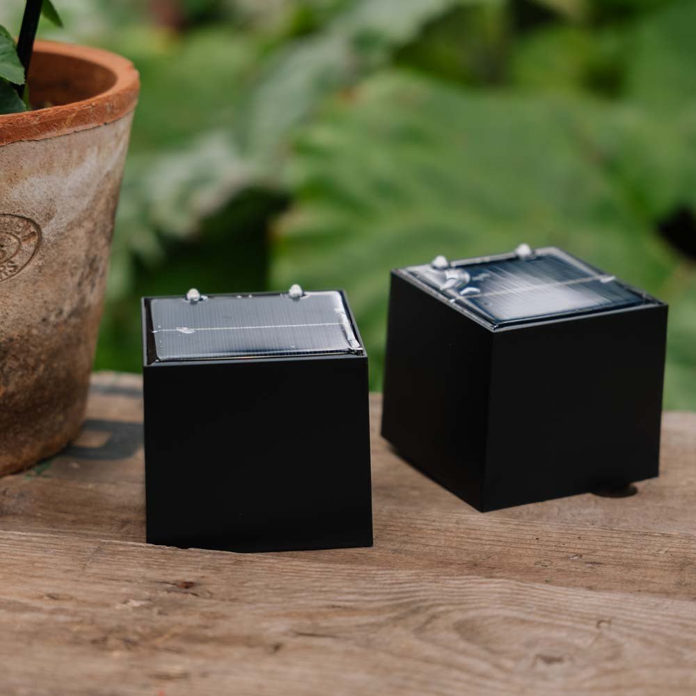 Cube op en neer zonne - lamp 2 pak