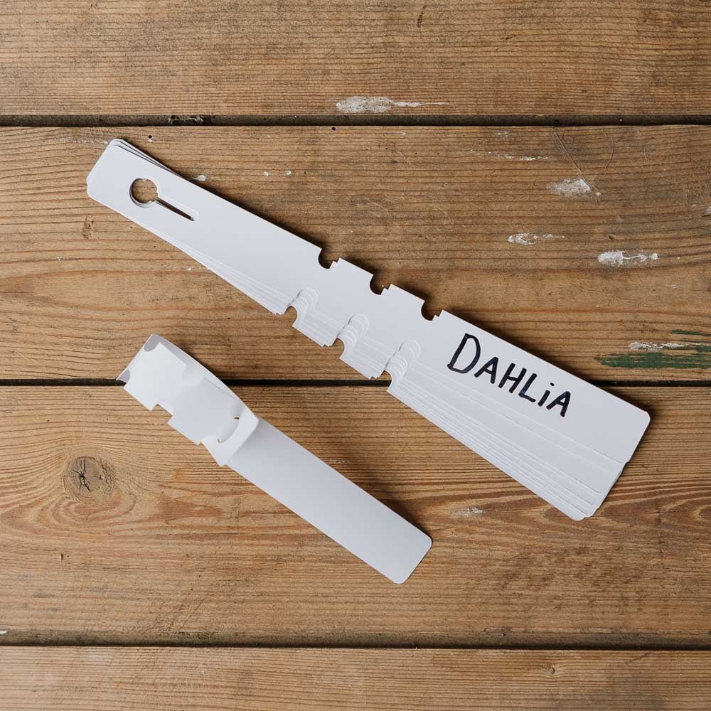 Dahlia labels, 10 stuks.