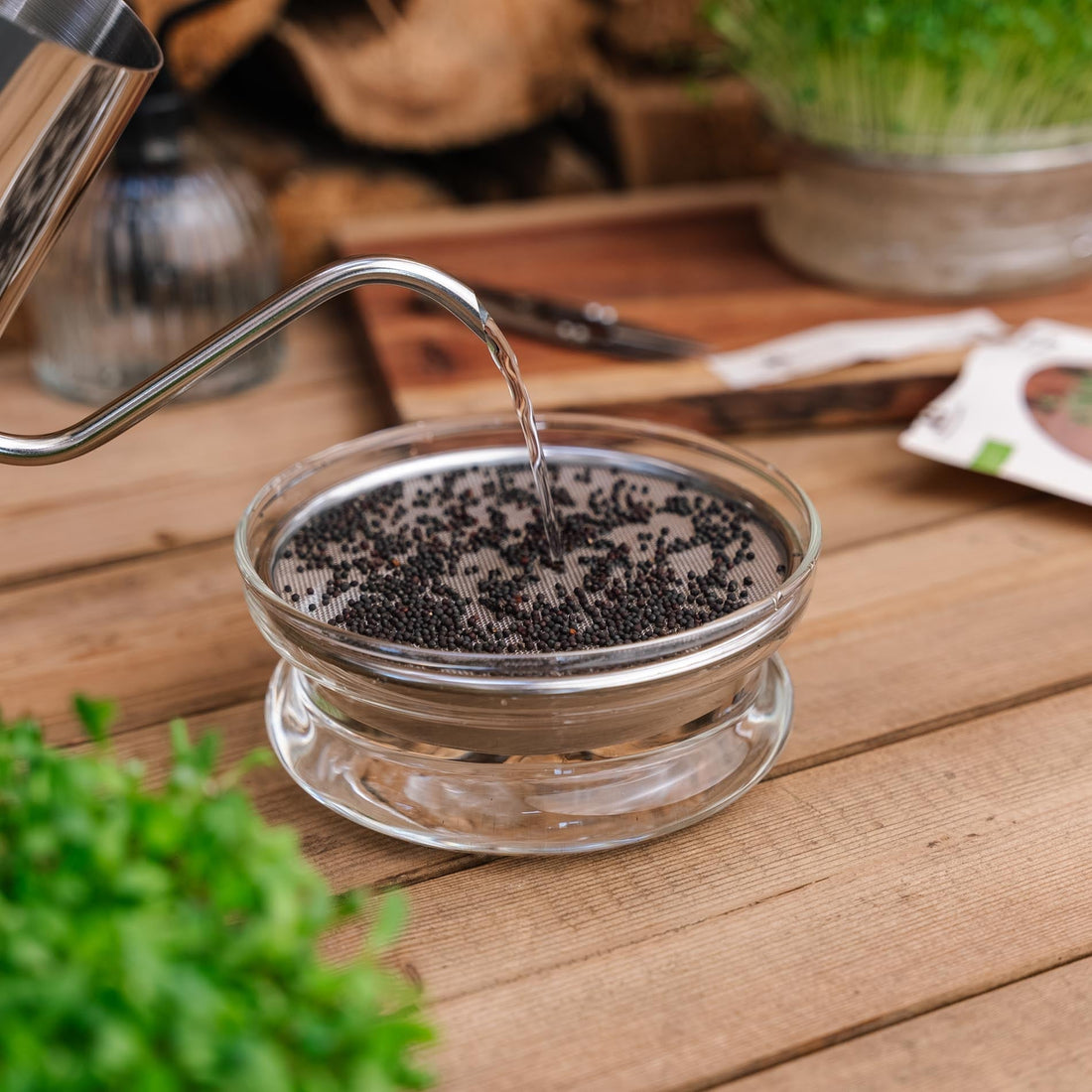 Gieter voor microgroenten, 0,55 L