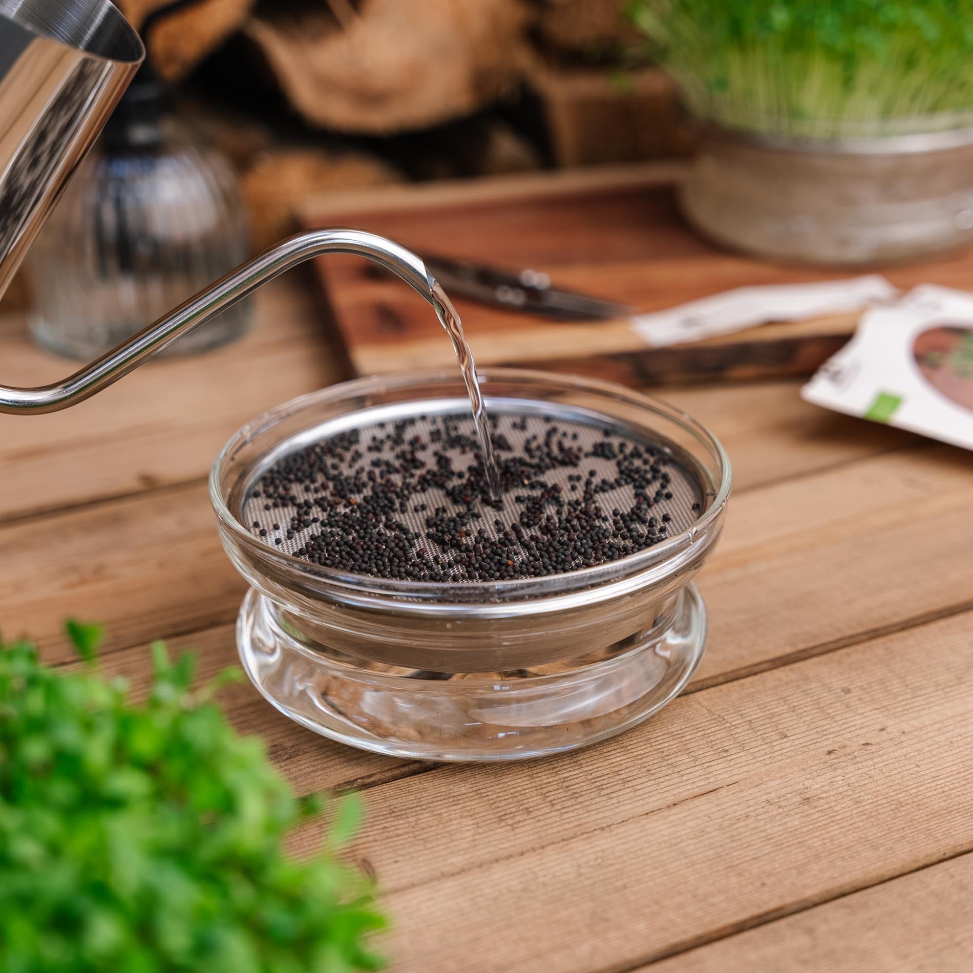 Gieter voor microgroenten, 0,55 L
