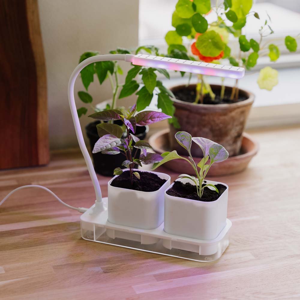 Groeilamp met 2 potten, L: 22,5 cm B: 9 cm H: 28,5 cm