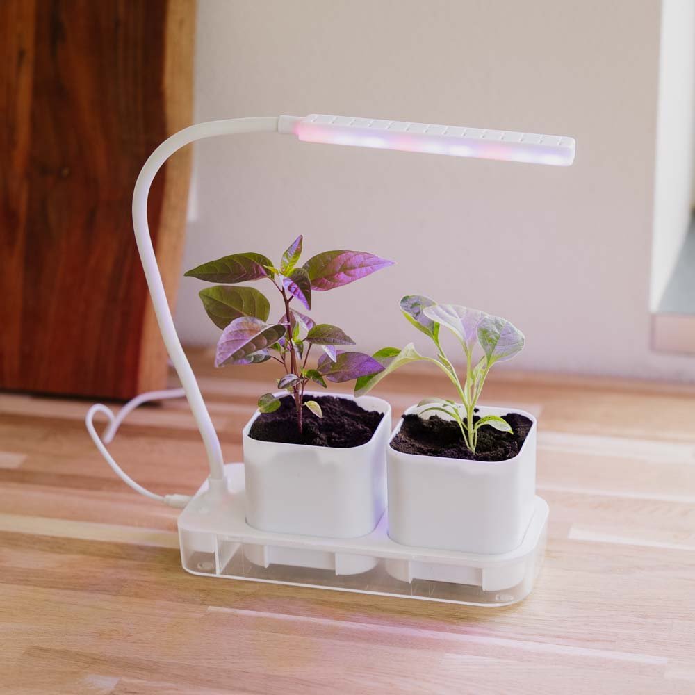 Groeilamp met 2 potten, L: 22,5 cm B: 9 cm H: 28,5 cm