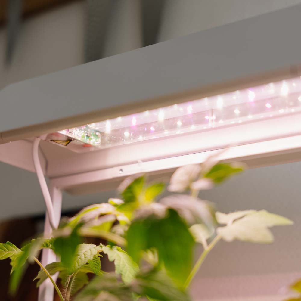 Groeilicht, wit, L: 17,5 cm B: 42,4 cm H: 36,5 cm