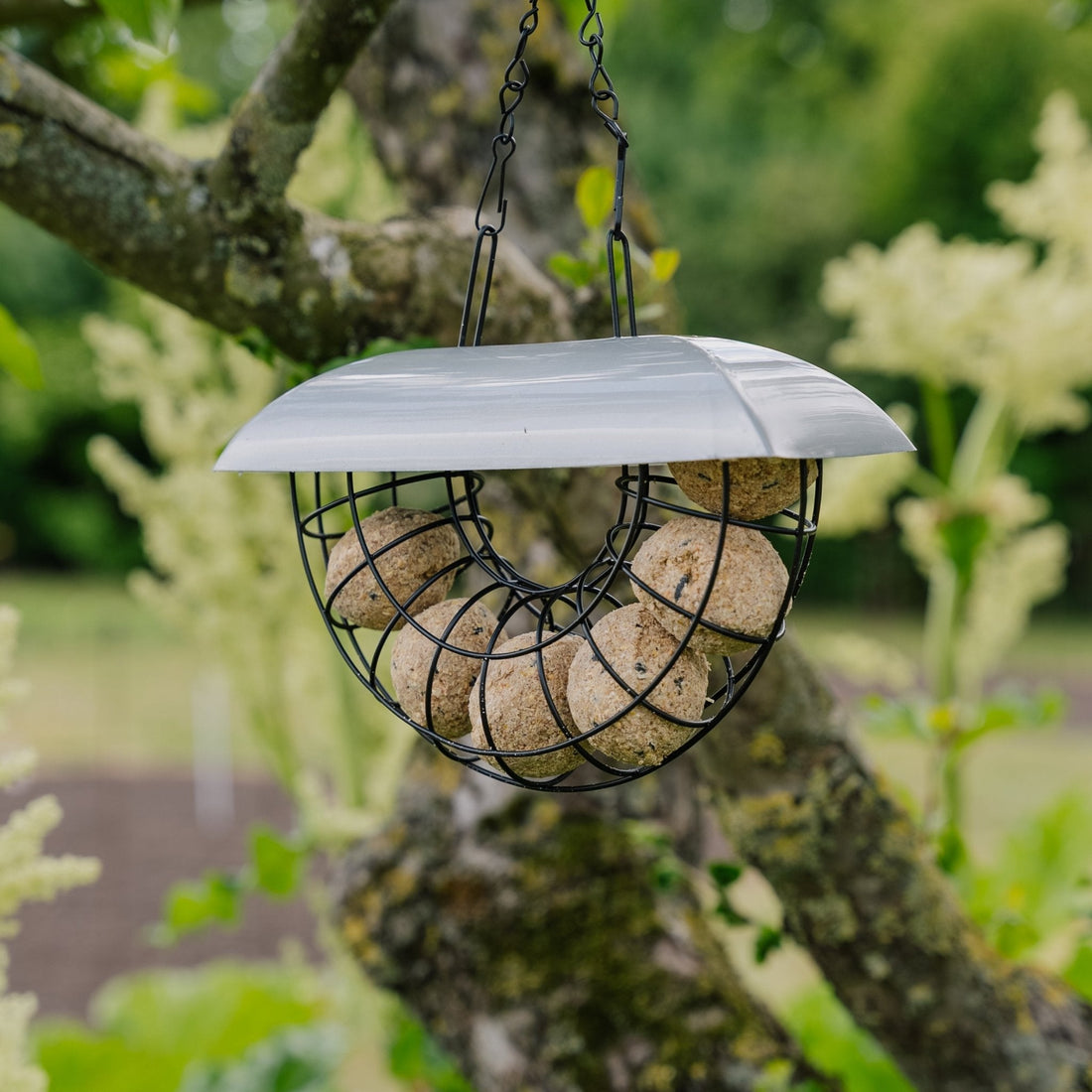Halve maan mezenbolletjesautomaat, incl. 6 mezenbolletjes