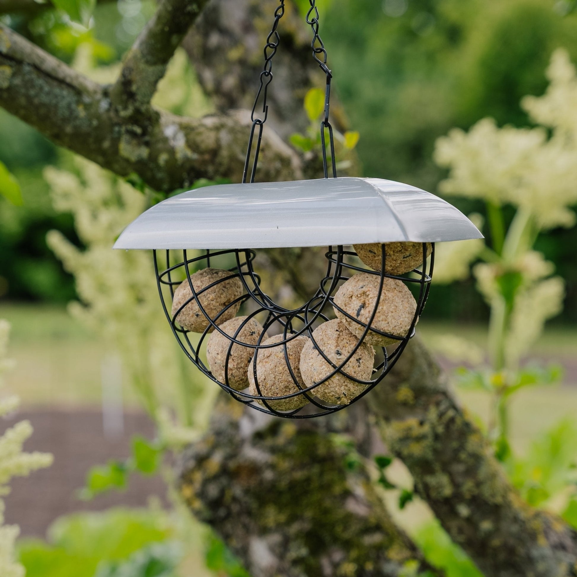 Halve maan mezenbolletjesautomaat, incl. 6 mezenbolletjes