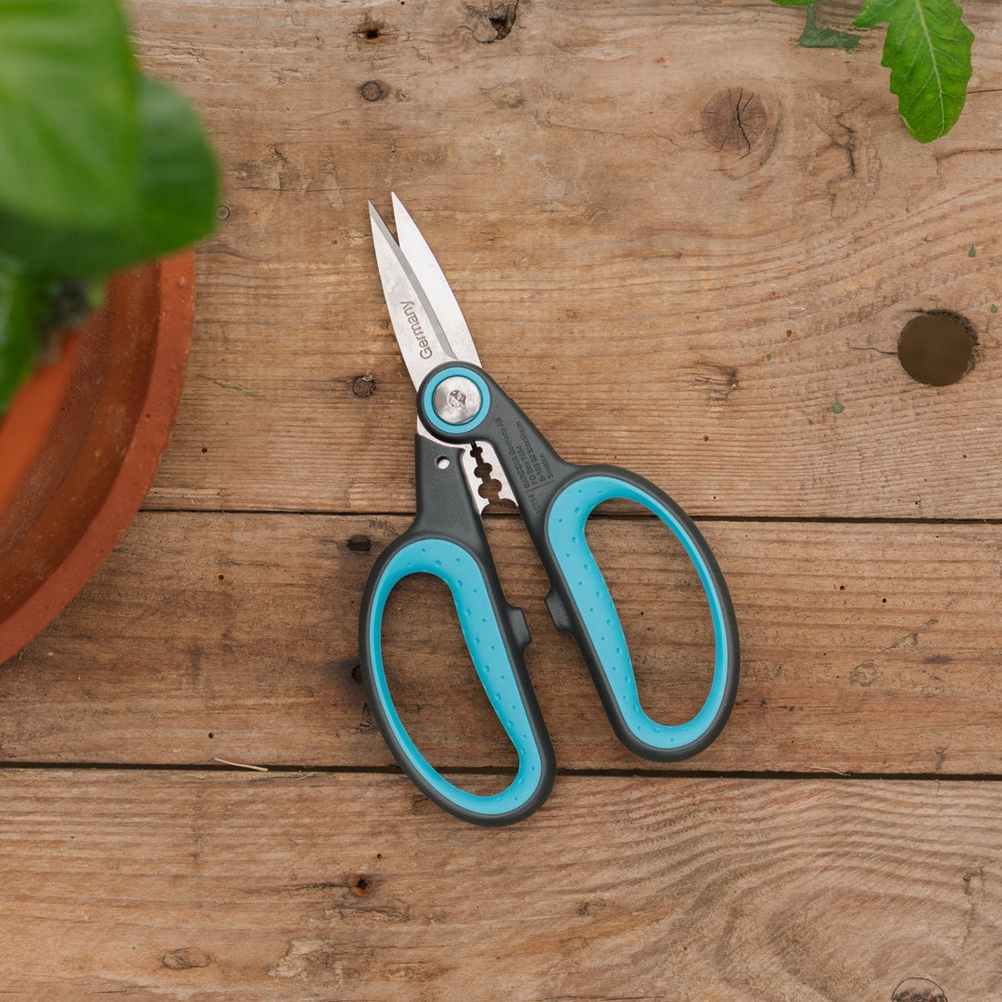 HerbCut kruidenschaar