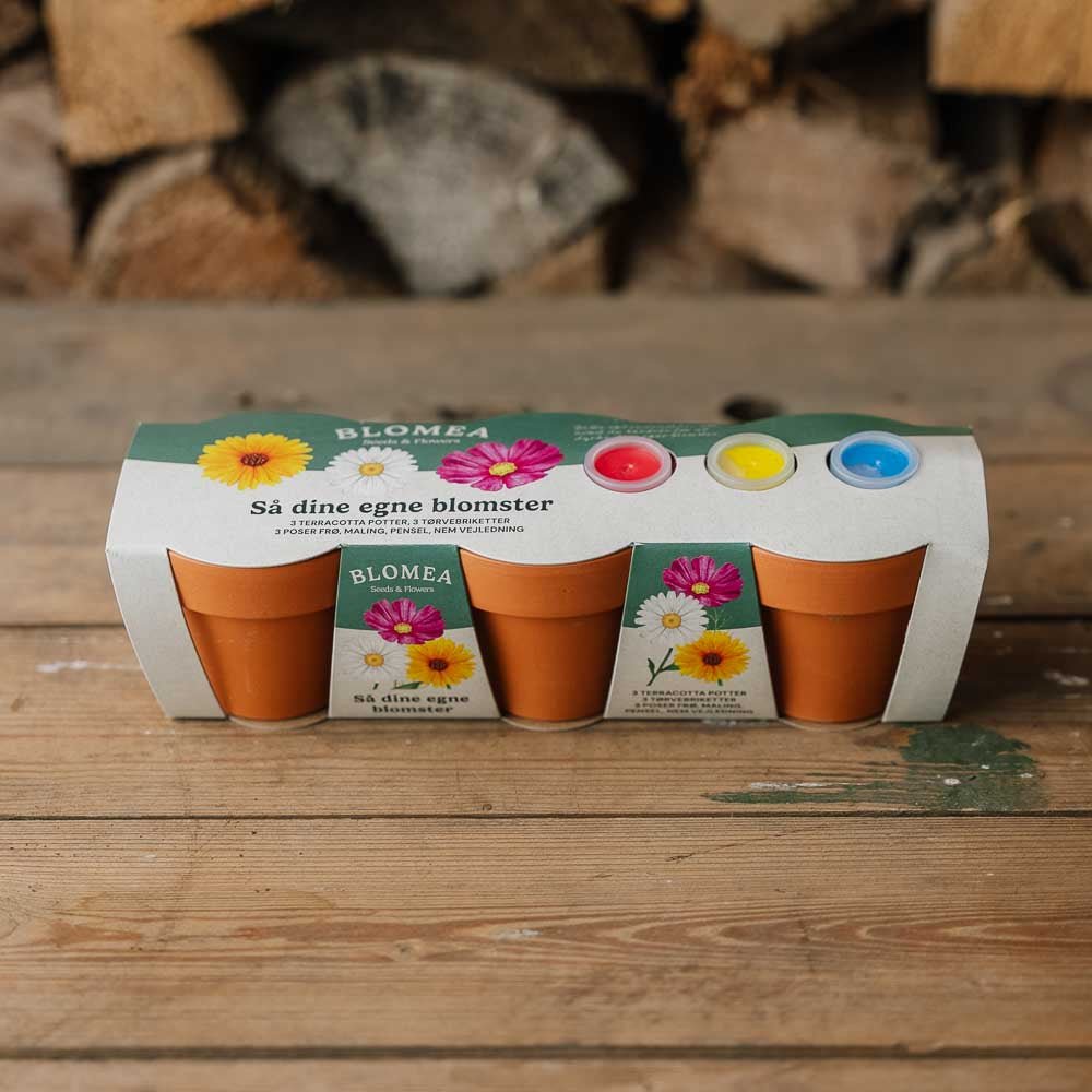 Het creatieve bloemenpakket