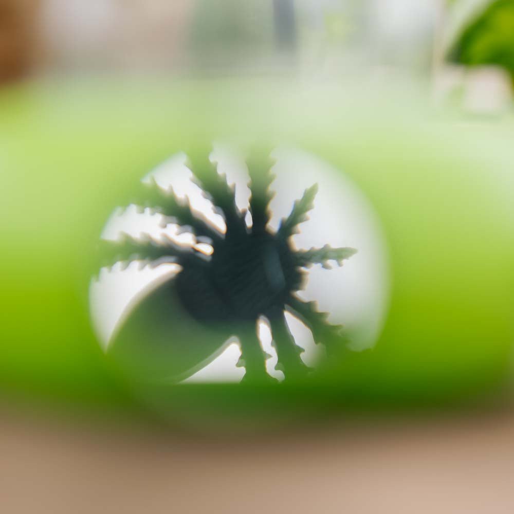 Insectendoos voor kinderen