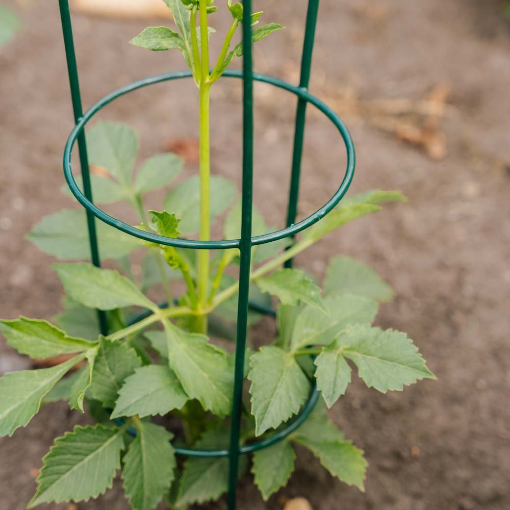 Kegelvormige plantensteun, L: 18 cm B: 18 cm H: 48 cm