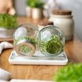 Kiemglas met druppelschaal