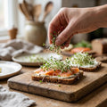 Kiemgroenten zaden 'Alfalfa' - 10000 biologische zaden