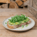 Kiemgroenten zaden 'Broccoli' - 4000 biologische zaden