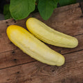 Komkommerzaden 'Gele Tros' - 10 biologische zaden