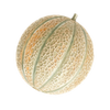 Groentezaden