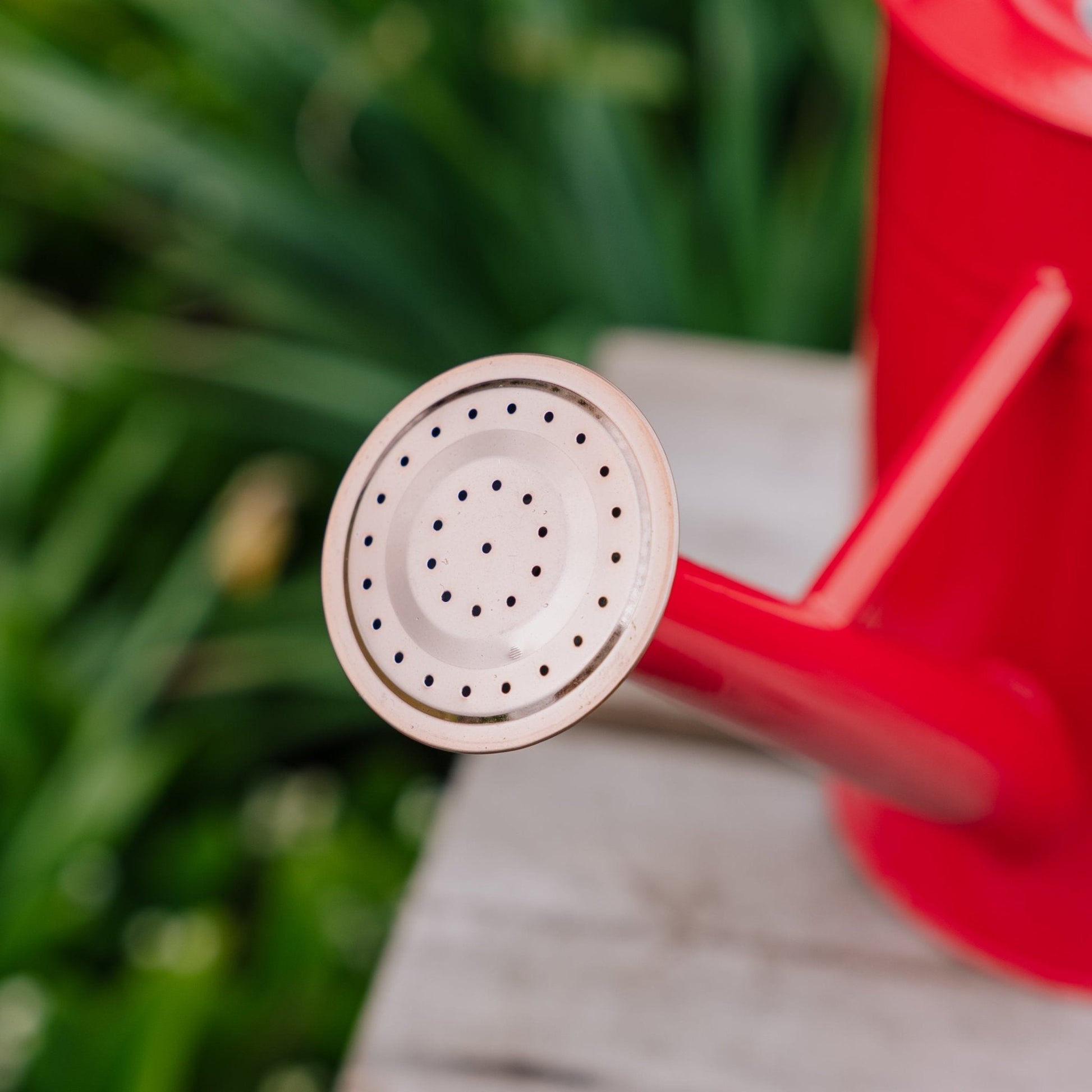 Metalen waterkan, 4,5 L, scharlakenrood