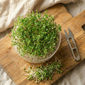 Microgroente schaar