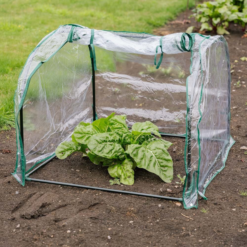 Middelgrote kikkerkoepel, L: 92 cm B: 90 cm H: 72 cm