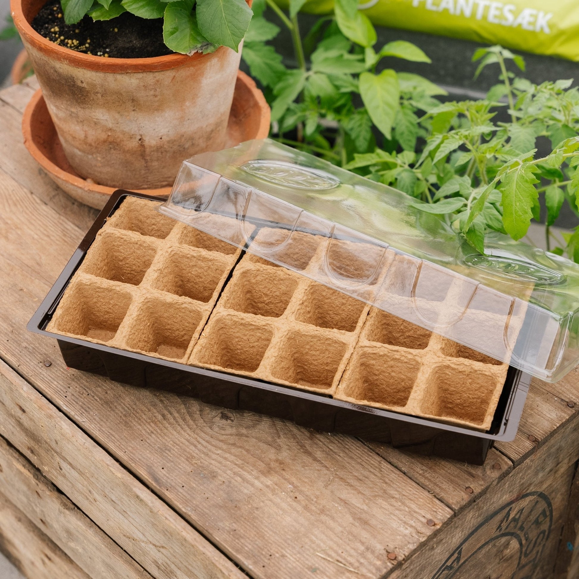 Mini - kas, 18 stuks.