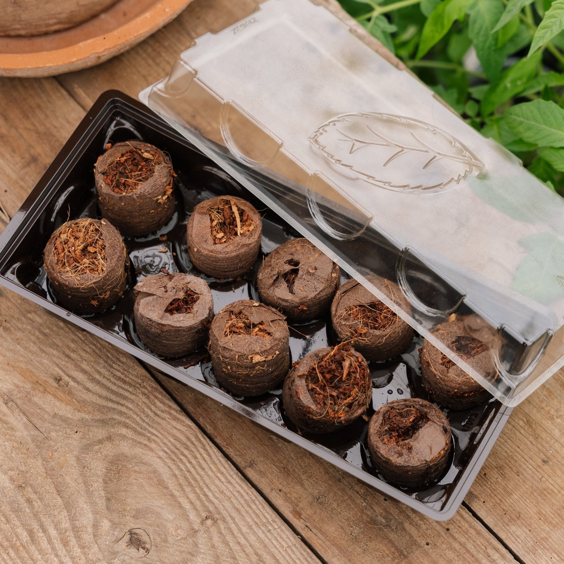 Minikasje met 10 kokosbriketten