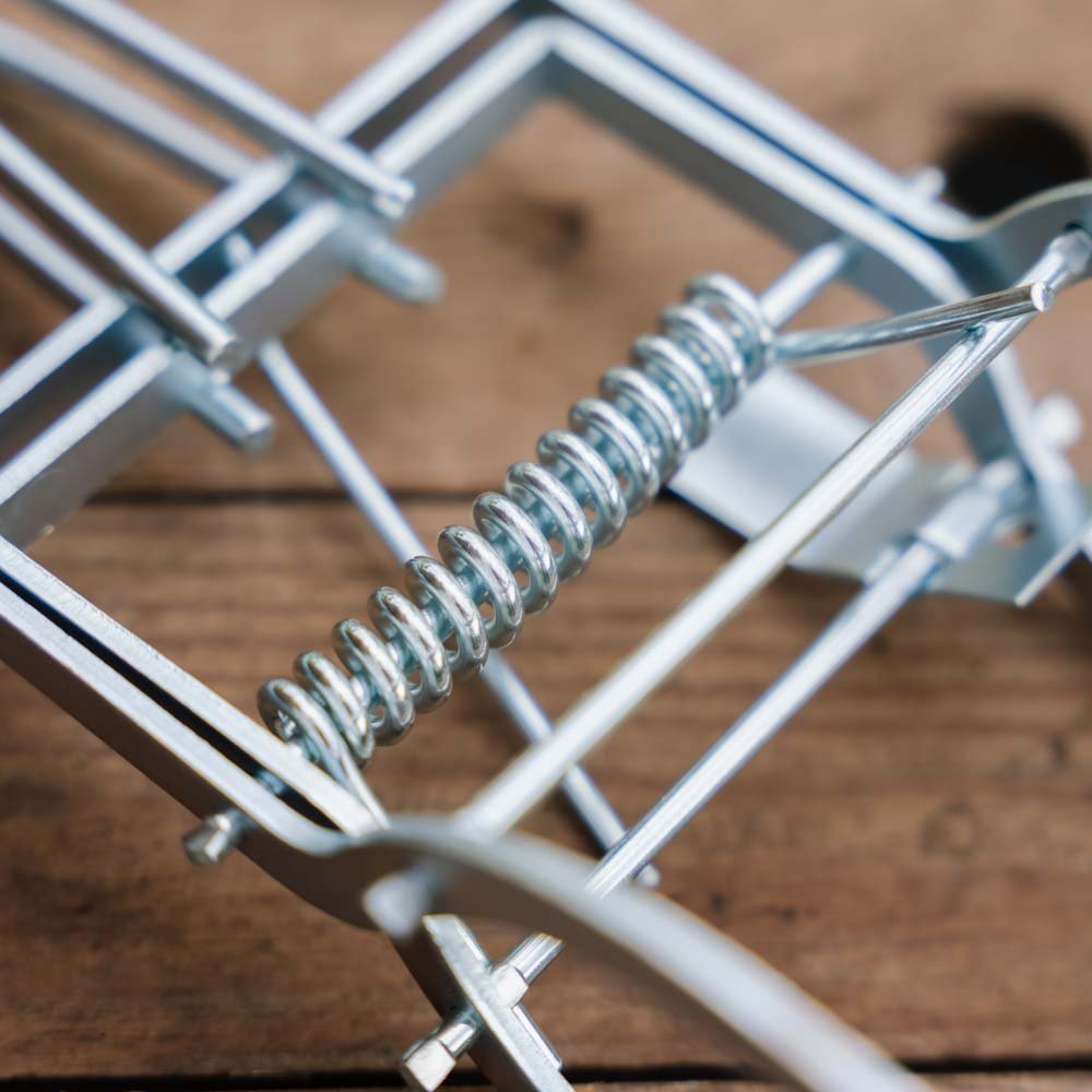 MuldvarpeFri Pro Mollenval 1 st.