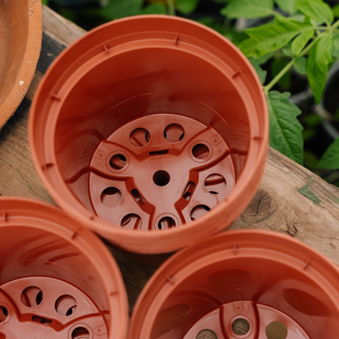 Plantenpotten 13 cm, 12 stuks.