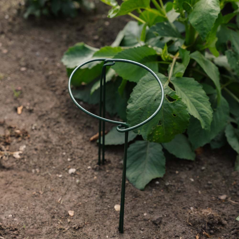 Plantensteun, B: 20 cm H: 35 cm