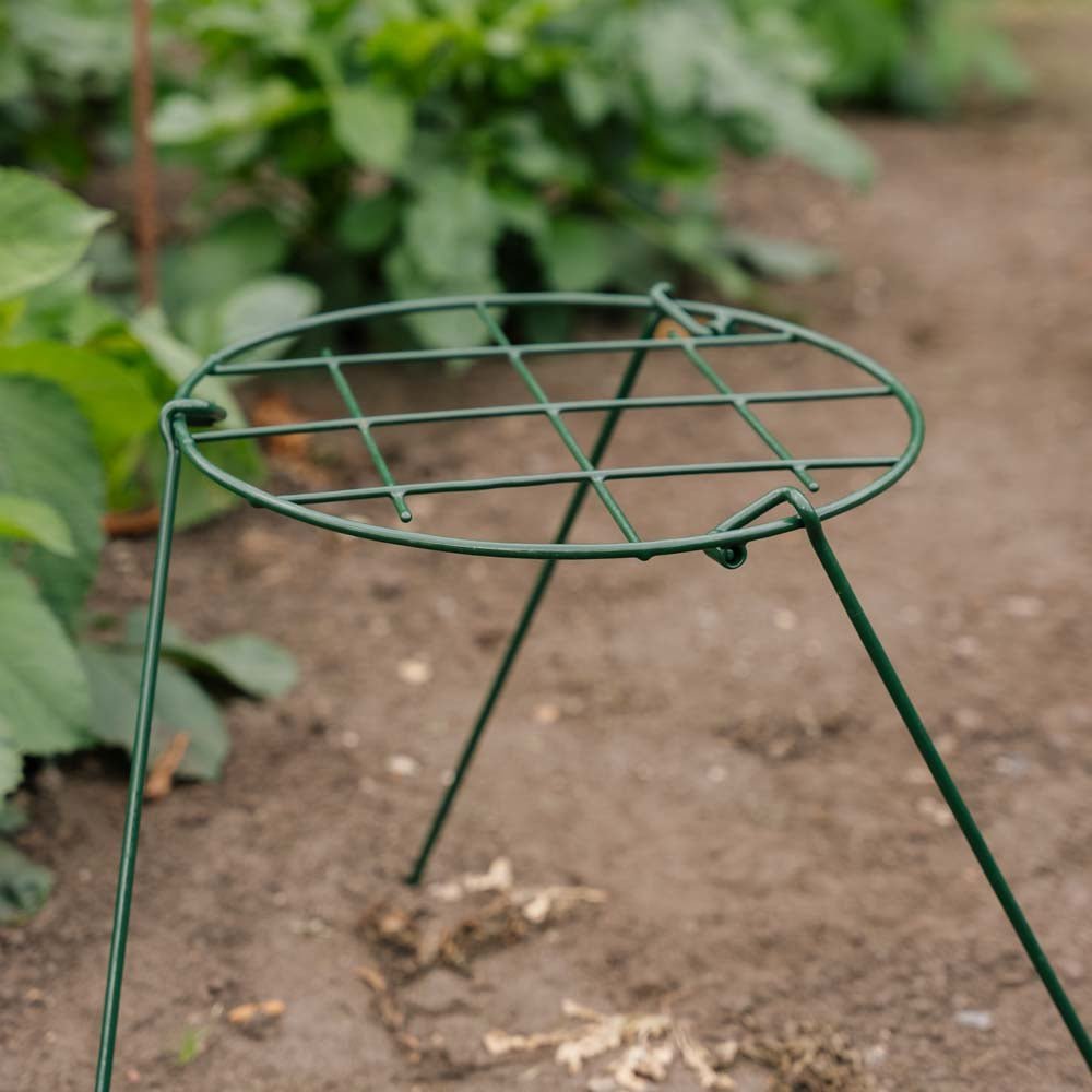 Plantensteun, B: 30 cm H: 45 cm