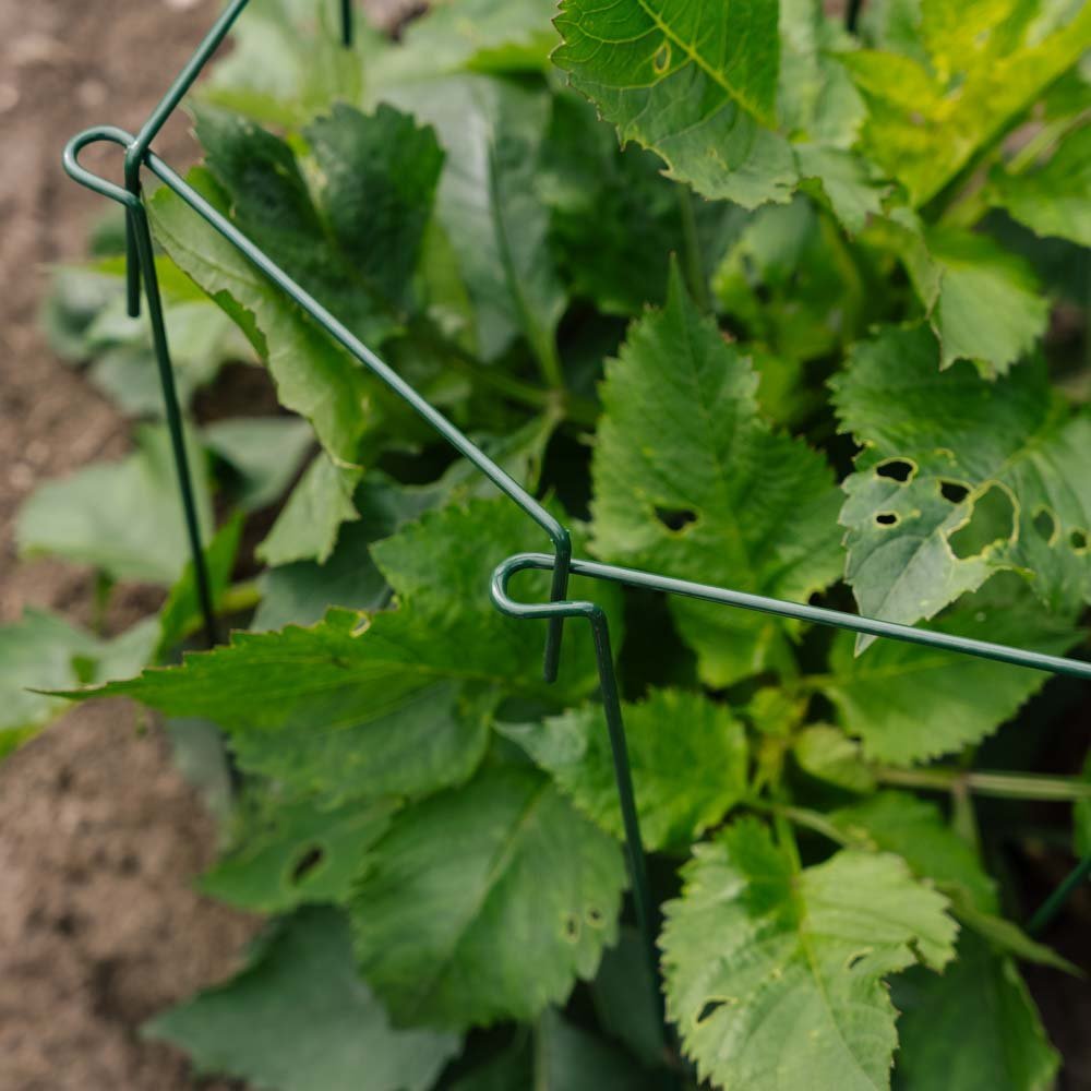 Plantsteun, 4 stuks, H: 45cm x B: 17cm