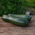 Pompoenzaden 'Zucchini' - 6 biologische zaden