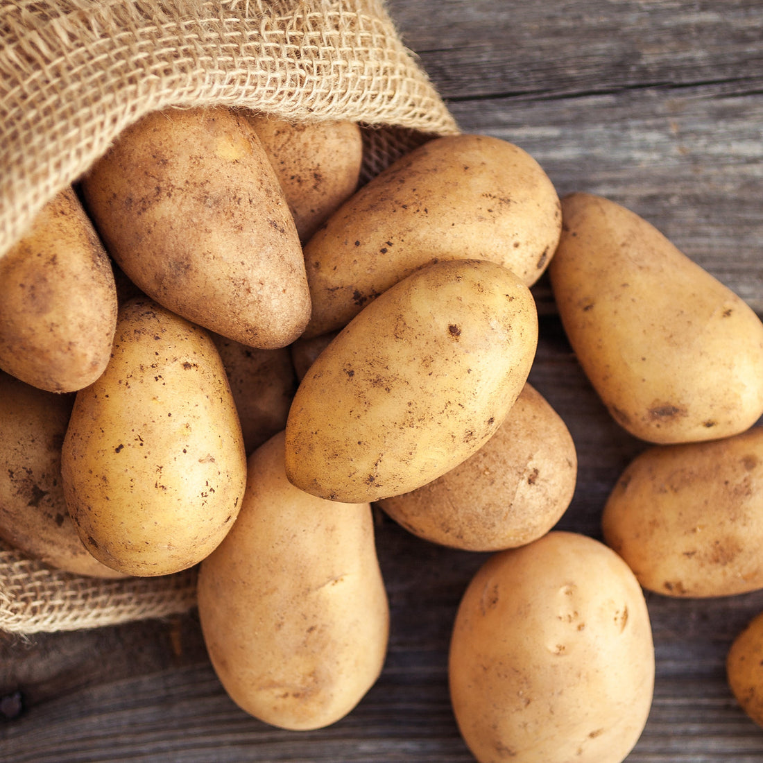 Pootaardappel 'Annabelle'