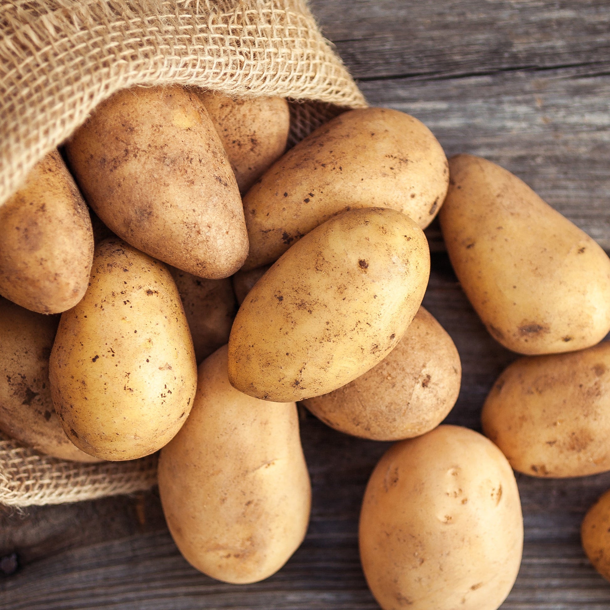 Pootaardappel 'Annabelle'