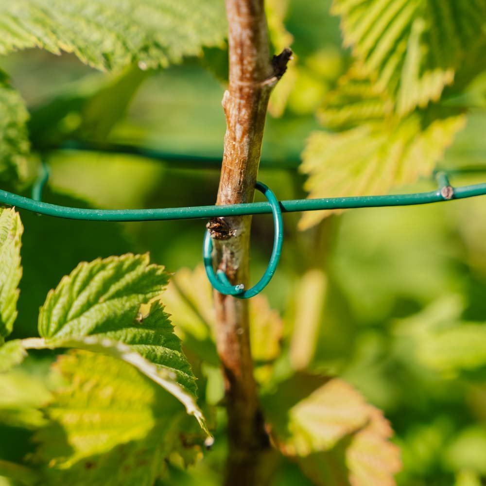 PVC gecoate plantenringen, 3 stuks.