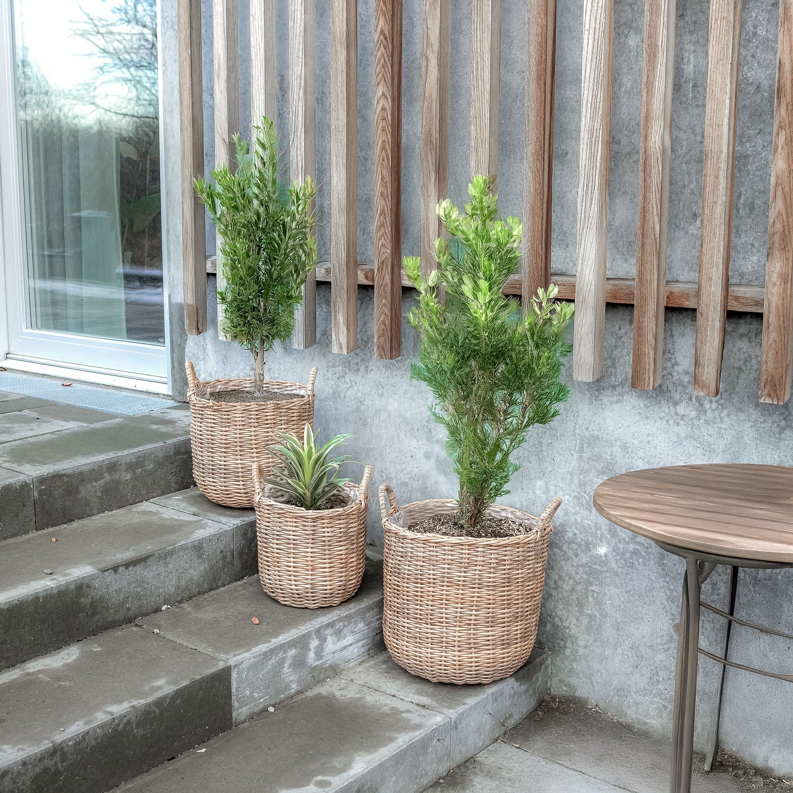 Rattan plantenmand in natuur, 3 stuks