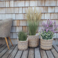 Rattan plantenmand in natuur, 3 stuks
