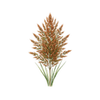 Bloemzaden