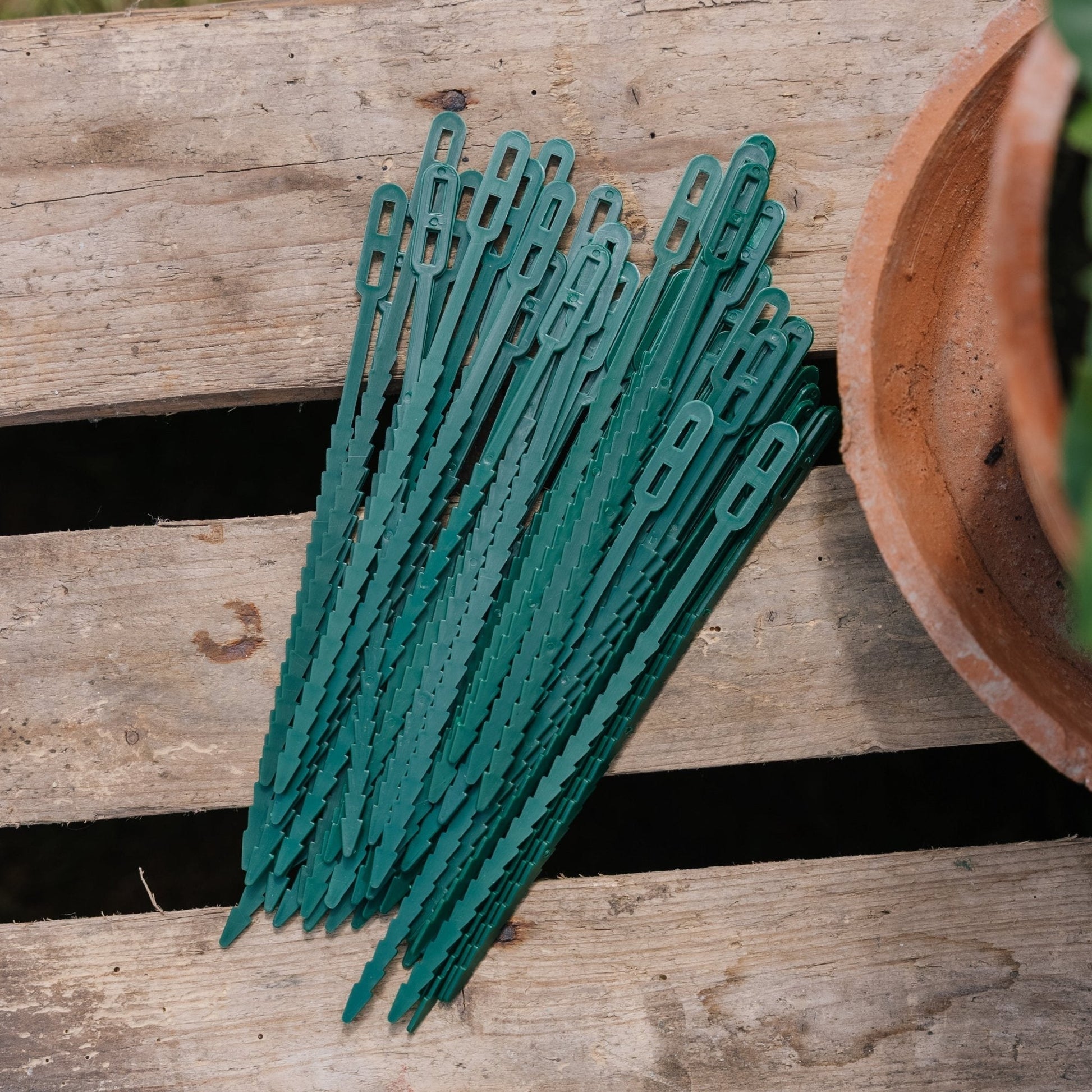 Verstelbare plantenbanden, 50 stuks.