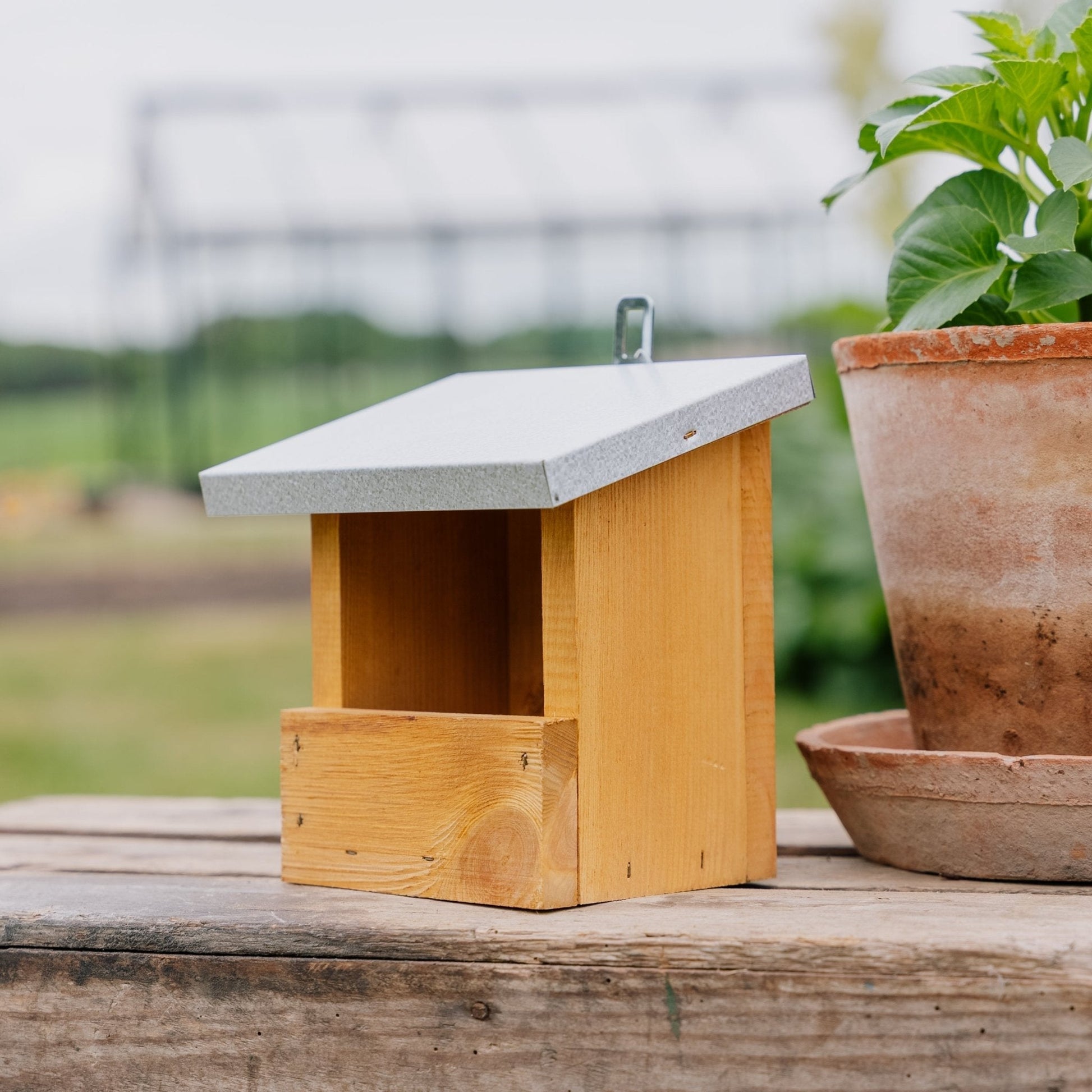 Voederhuis, Roodborstje, L: 13 cm B: 17 cm H: 20 cm