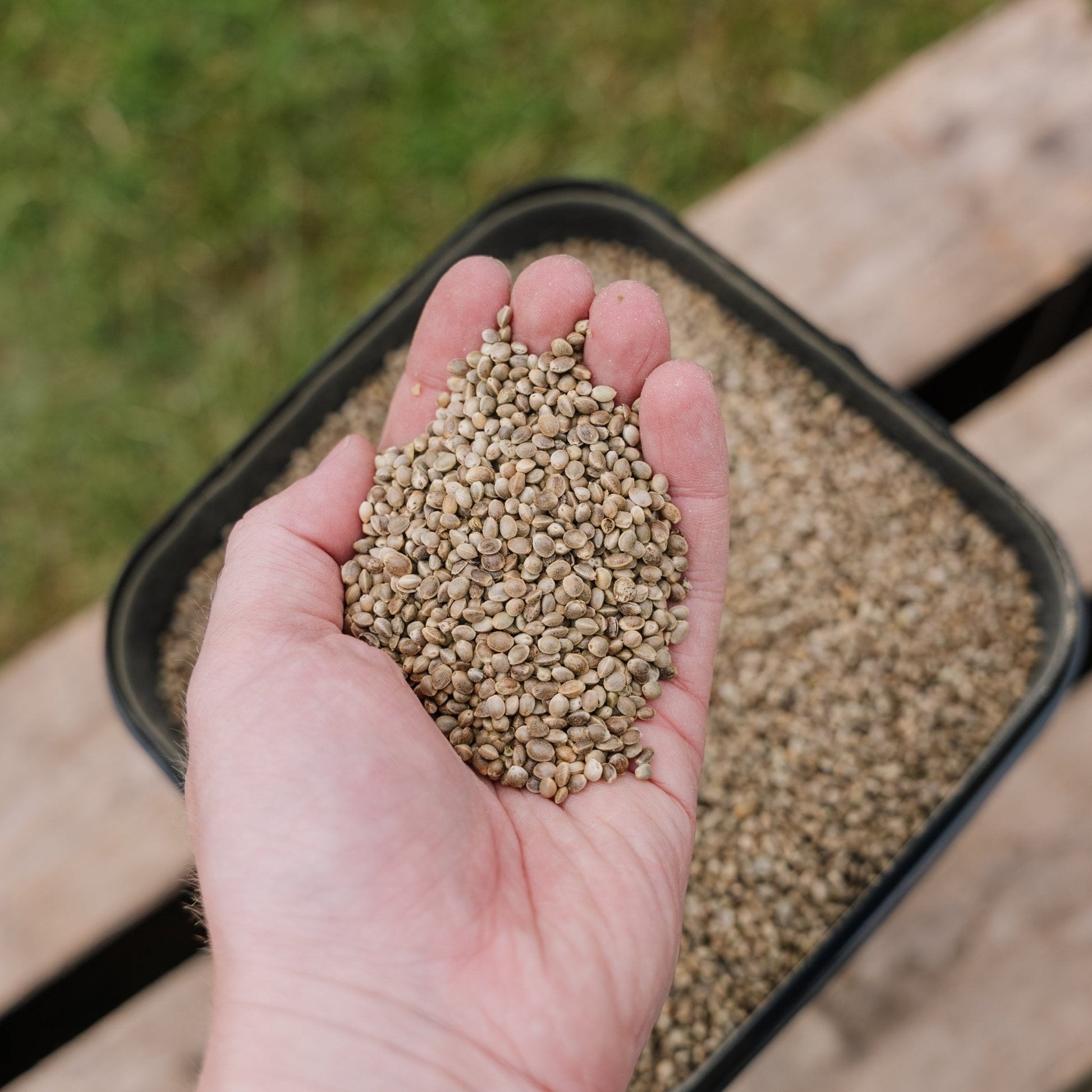 Vogelvoer, Hennep de Luxe, 5 L