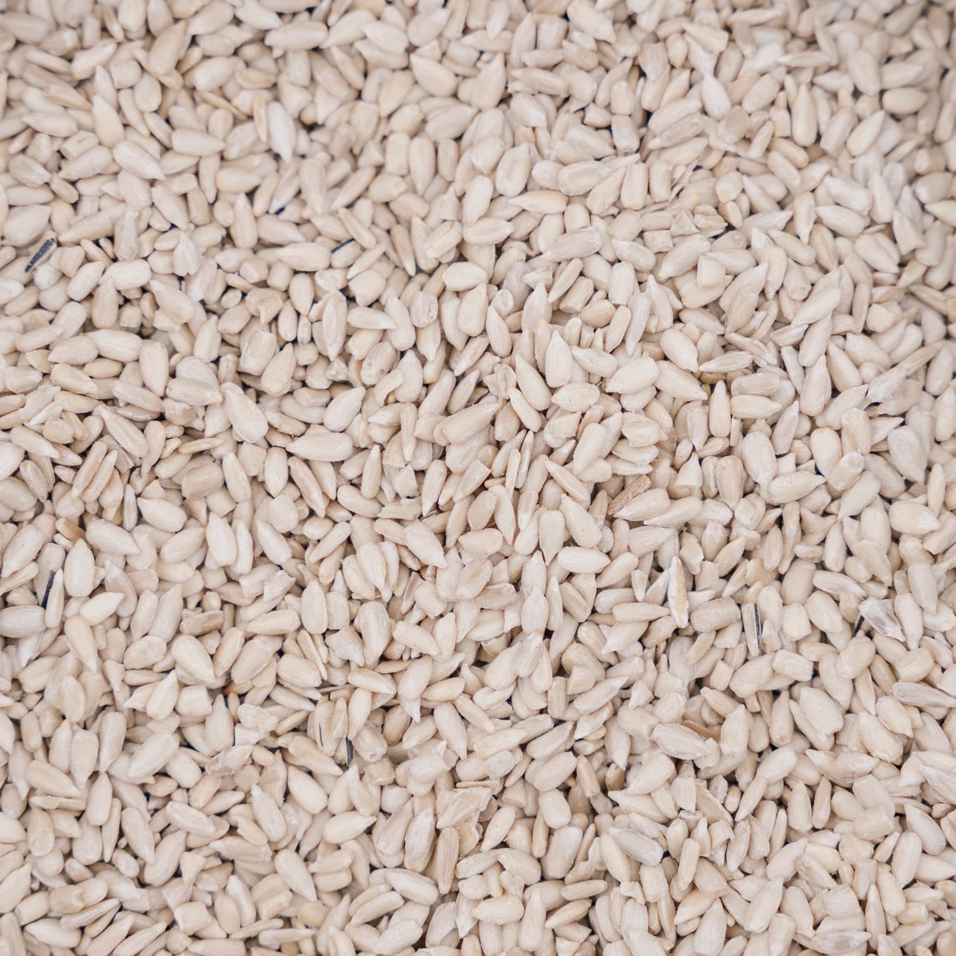 Vogelvoer, Zonnebloem de Luxe, 5 L